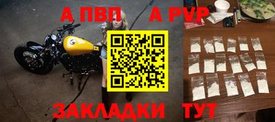 прущие грибы Нальчик
