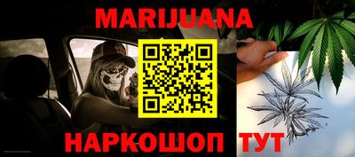 прущие грибы Нальчик