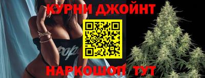прущие грибы Нальчик