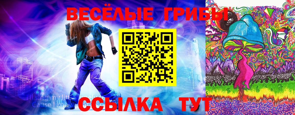 Галлюциногенные грибы MAGIC MUSHROOMS Химки